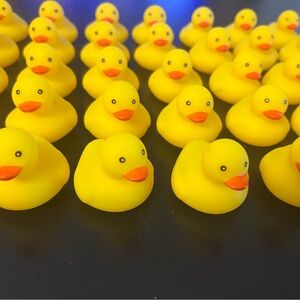 50 rubber ducks